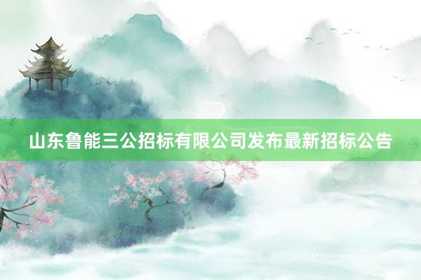 山东鲁能三公招标有限公司发布最新招标公告